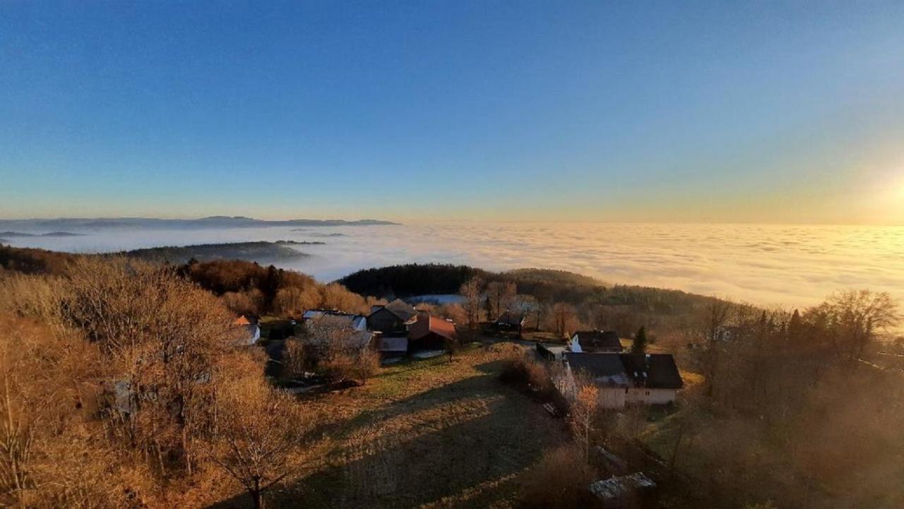 פרייאונג Traumblick Bayerischer Wald, Pool & Sauna, Getraenke, Klimaanlage מראה חיצוני תמונה