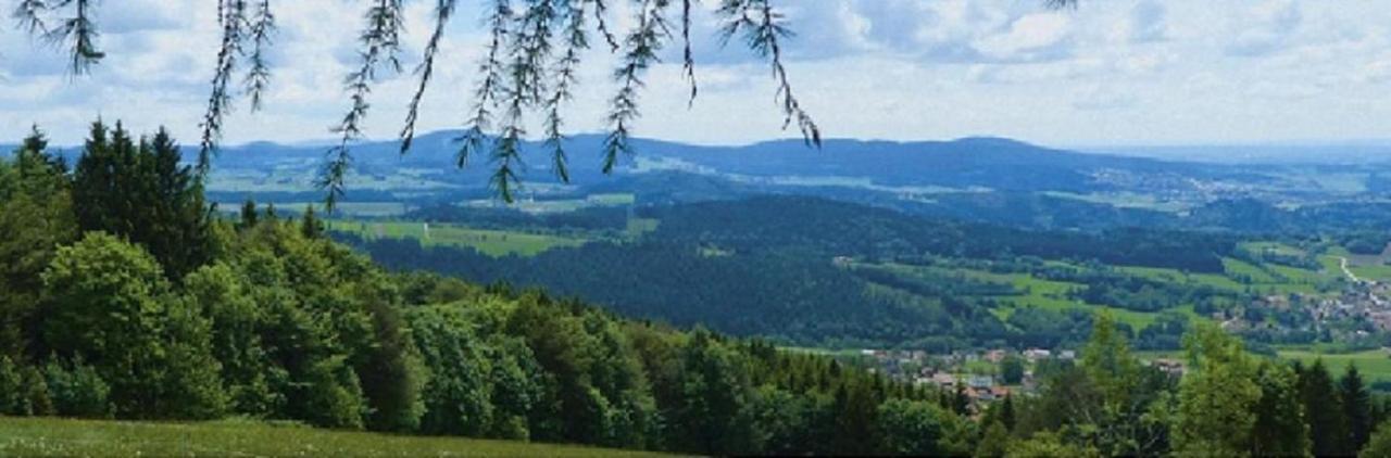 פרייאונג Traumblick Bayerischer Wald, Pool & Sauna, Getraenke, Klimaanlage מראה חיצוני תמונה