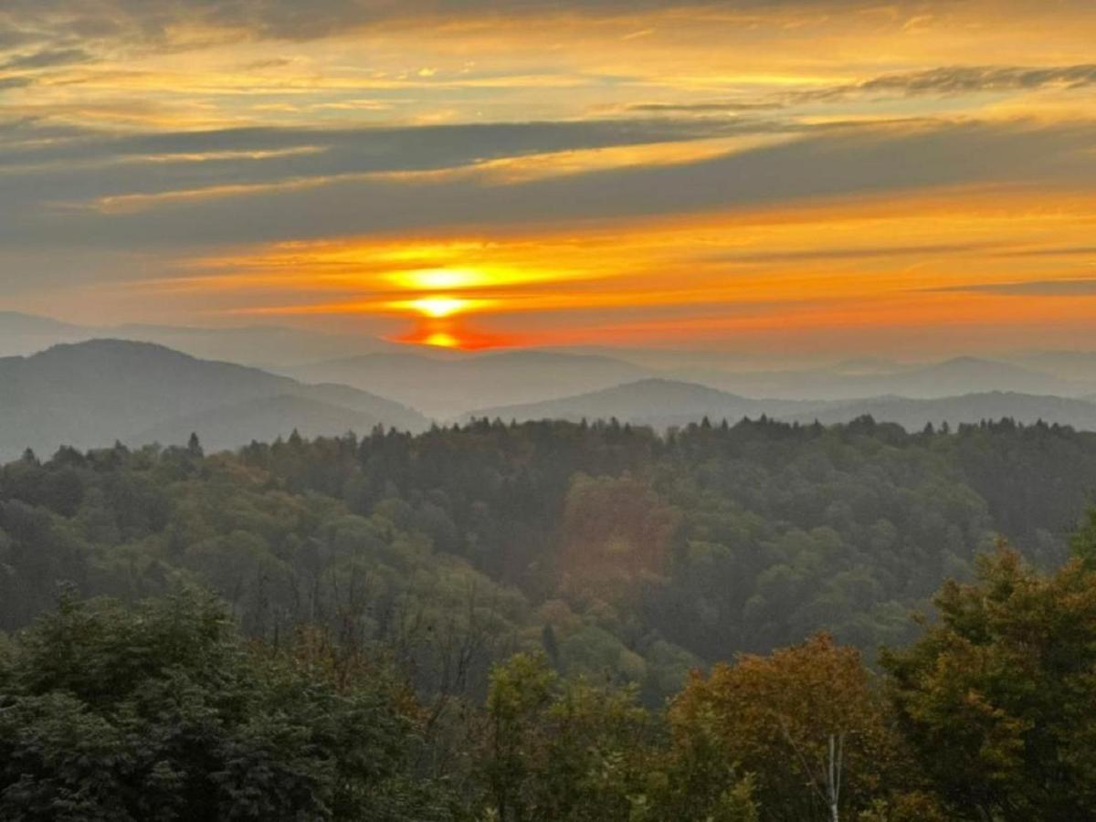 פרייאונג Traumblick Bayerischer Wald, Pool & Sauna, Getraenke, Klimaanlage מראה חיצוני תמונה