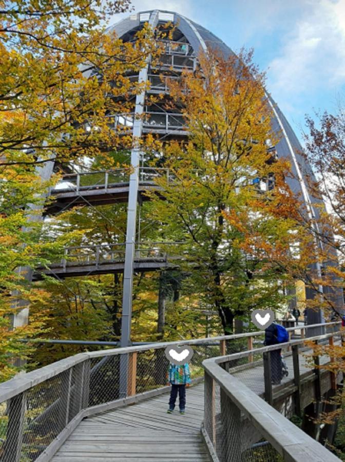 פרייאונג Traumblick Bayerischer Wald, Pool & Sauna, Getraenke, Klimaanlage מראה חיצוני תמונה