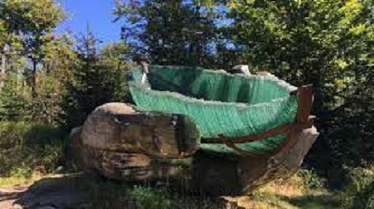 פרייאונג Traumblick Bayerischer Wald, Pool & Sauna, Getraenke, Klimaanlage מראה חיצוני תמונה